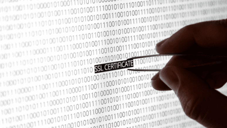 What is an SSL certificate and why are you interested in it?