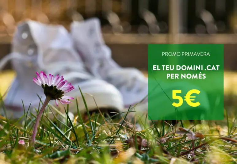 Campanya primaveral: altes de dominis .cat a 5 euros i renovacions molt econòmiques