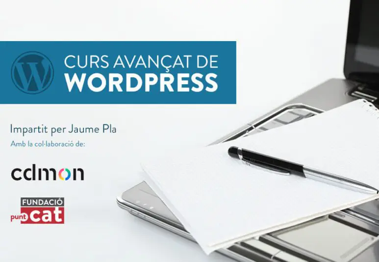 Curs de WordPress avançat a puntCAT