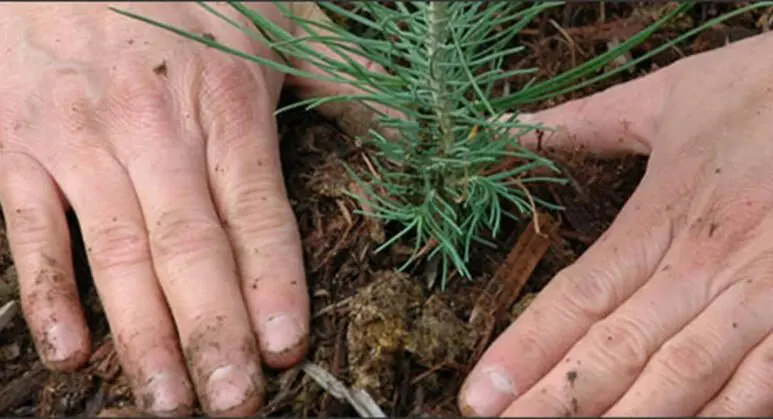 La Fundació puntCAT facilita que las entidades sin ánimo de lucro tengan presencia en catalán en Internet