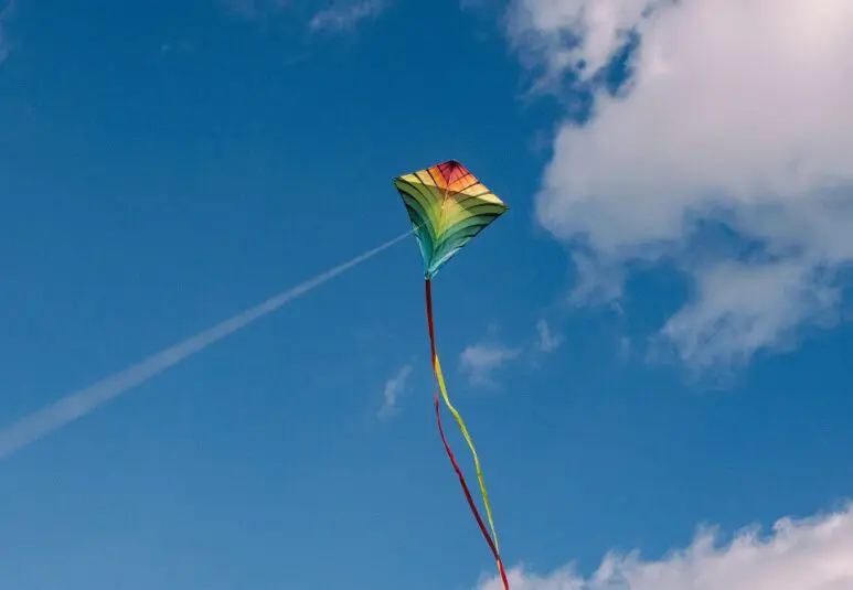 La Fundació puntCAT té com a missió bàsica la divulgació i presència de la llengua i cultura catalana a Internet