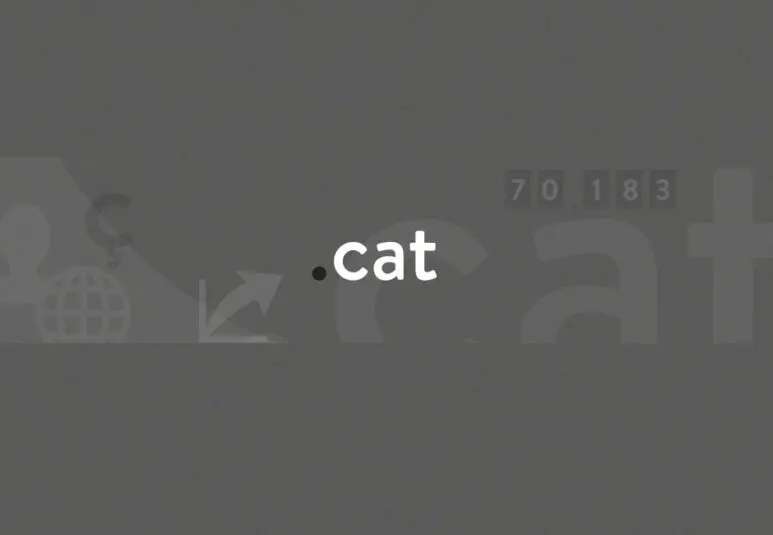 The .cat domain and SEO positioning