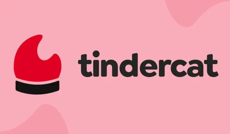 TinderCat, el fenomen per lligar i xafardejar en català a la xarxa