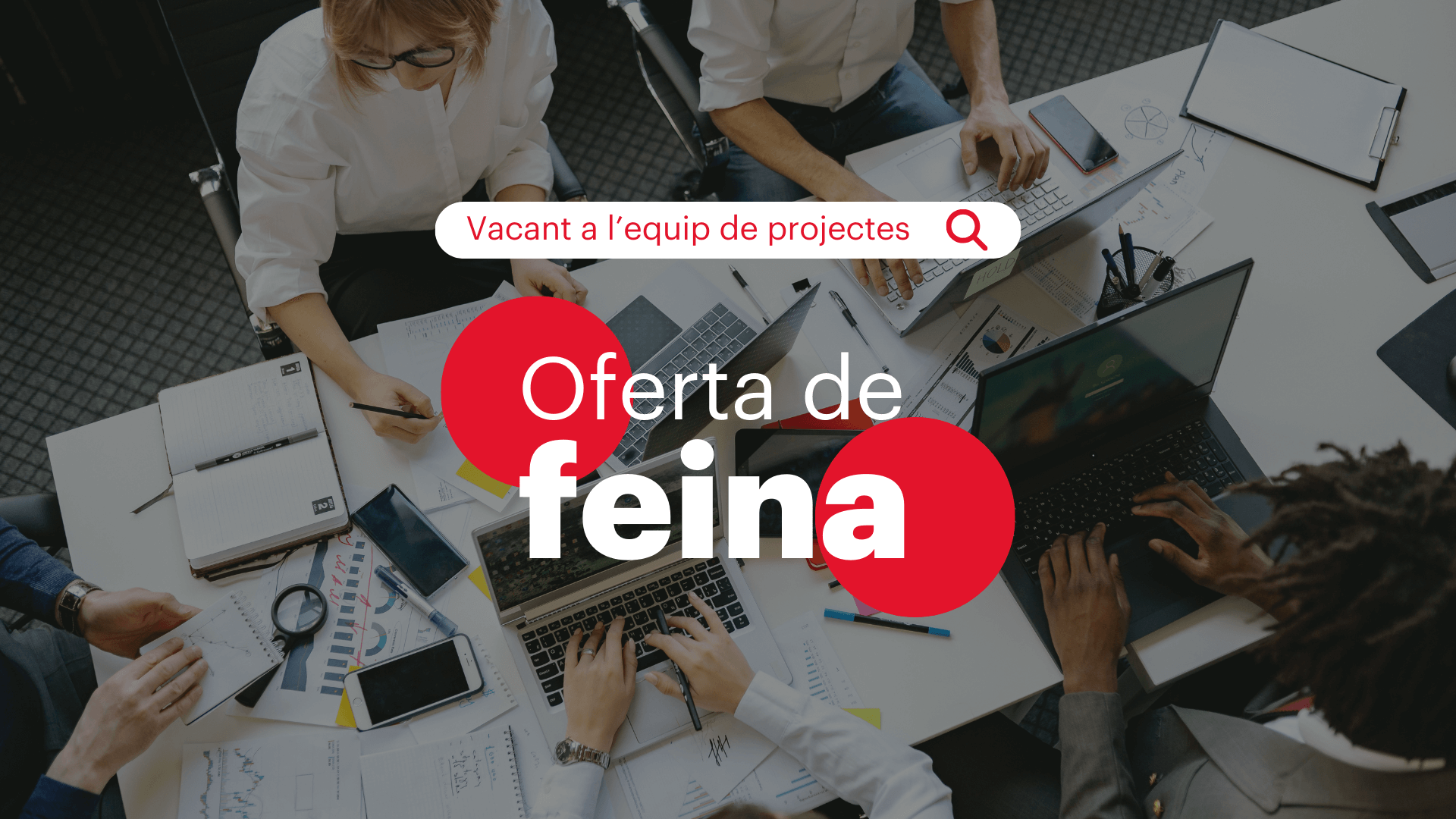 Oferta de feina a l’equip de projectes