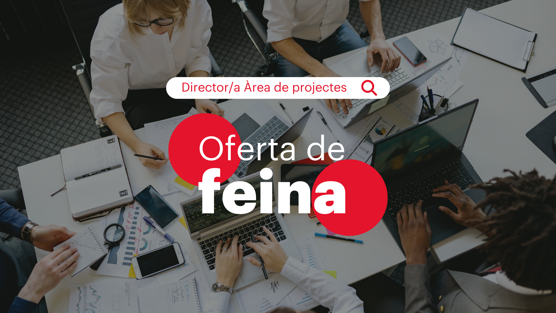 We are hiring a Director of the Project Area