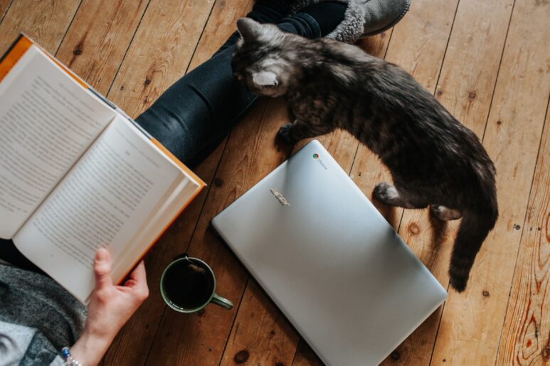 What to read during confinement and beyond