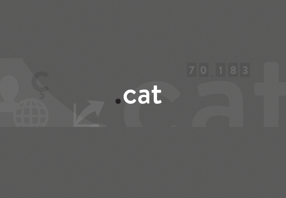 El dominio .cat y el posicionamiento SEO