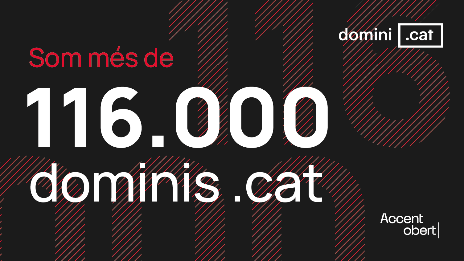 El domini .cat comença el 2026 amb 116.187 dominis actius i una renovació històrica